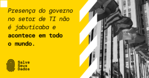 presença do governo no setor de TI